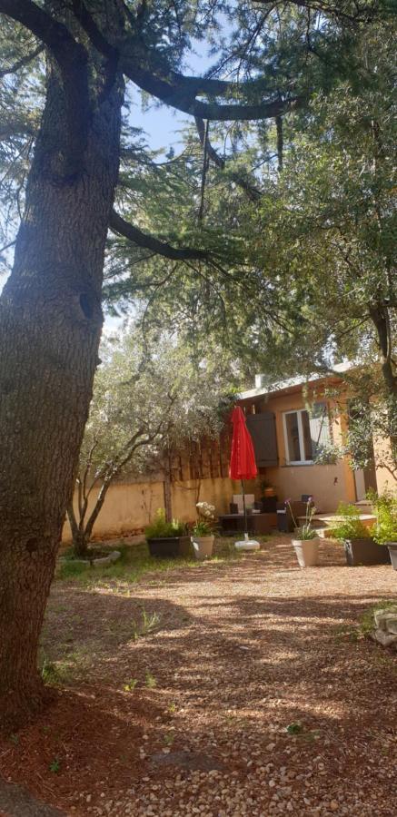 Appartamento La Vigne Et L'Olivier Villeneuve-lès-Avignon Esterno foto