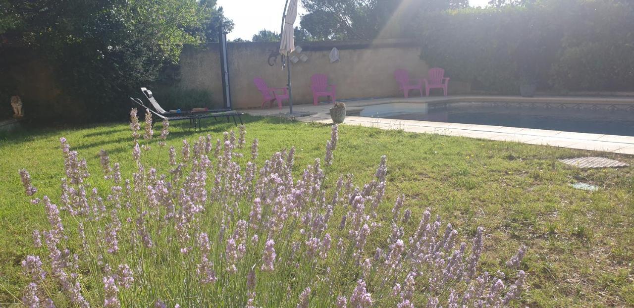 Appartamento La Vigne Et L'Olivier Villeneuve-lès-Avignon Esterno foto